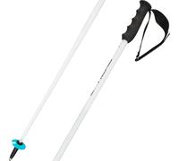 Head Worldcup Sl Poles Clair 120 cm