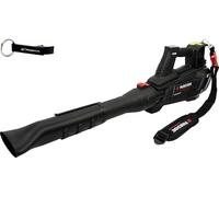 Parkside Performance® Souffleur turbine sans fil avec 2 batteries 8 Ah et chargeur