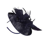 HEALEEP 1 Pièce Diadème Tulle avec Plumes Accessoire de Fête Élégant pour Mariage Anniversaire et