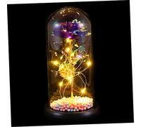 HEALEEP 1Pièce Lampe de Rose Verre Couvercle Décoration de Saint Valentin Idée pour Femmes Verre Fleurs Immortelles Ambiance pour Maison