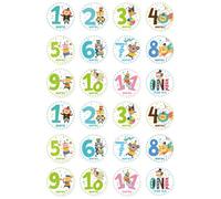 HEALEEP 24 Pcs Autocollants Décor En Bois Nom Signe Grossesse Jalon Autocollant Bébé Douze Bébé Cartes Pour Jalons Moments Stiker Jalons Blocs Ornés Applique Nouveau-Né Animal Le Signe