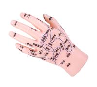 HEALEEP Modèle Acupuncture Main avec Points Acupuncture Étiquetés pour Formation Réflexologie et Massage Outil Apprentissage Tcm avec Zones de Réflexion Claires pour Enseignement