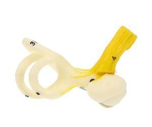 HEALEEP modèle de labyrinthe d'oreille mannequin du modèle d'oreille normale maquette plastique college des modèles modèle d'oreille avec base modèle d'oreille réaliste avec socle limaçon
