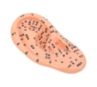 HEALEEP Modèle D'oreille en Pvc Solide sans Décoloration pour Enseignement de L'auriculothérapie Indication des Points Réflexes et Massage pour Formation
