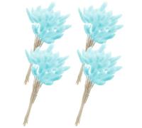 HEALEEP Queues de Lapin Séchées Naturelles Bleues Bouquet de 60 Tiges Herbe Séchée pour Décoration Mariage Centre de Table et Composition de Fleur Bohème et Fête