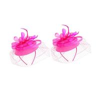 Healeved 2pièces Fascinator Plume Et Filet Pour Mariage Accessoire De Cheveux Élégant à Clip Et Bandeau Pour Tea Party Et Événements Spéciaux