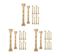Healeved 30 Pièces Charme en Os Artisanal pour Halloween, Plastique | Trou pour Enfilage, Décor Simulé pour Fêtes et Vacances, Usage Multiple, Lot de Dix