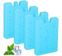 Healeved 4 Pièces Blocs Réfrigérants pour Glacière en PE, Légers et Performants pour Refroidissement Longue Durée, pour Activités en Plein Air et Boîtes à Lunch