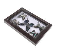 Healeved Cadre Mural en Bois avec Spécimen d'Insecte A7 Boîte d'Exposition Transparente Décoration Murale DIY pour Salon Bureau et Art Mural Décoratif Présent Original pour