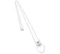 Healeved Collier Fiole Huile Essentielle Acier Titane Pendentif Cœur Transparent avec Bouchon Sécurisé Collier Femme Mode Résistant à l’Usure Diffuseur Parfum Élégant