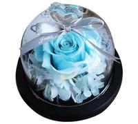 Healeved Décoration Rose Éternelle sous Cloche en Verre Fleur Immortelle Base Stable Ornement Romantique pour Saint-Valentin Présent Femme Élément de Décoration Couleur Aléatoire