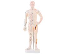 Healeved Modèle d'acupuncture corporelle avec points de pression : Modèle de points d'acupuncture pour l'apprentissage du massage - Mannequin pédagogique d' pour les hôpitaux