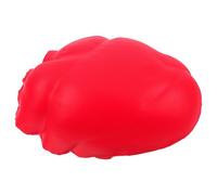 Healeved Modèle de Cœur Simulé Réaliste Rouge pour L’enseignement de L’anatomie et Physiologie Humaines, Outil Pédagogique Interactif D’organe Humain Simulé pour Laboratoires et