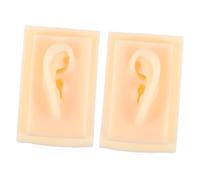 Healeved Modèles Doreilles En Silicone Éducatifs Simulation Précise De Loreille Humaine Pour La Pratique Et Laffichage Des Étudiants En Médecine