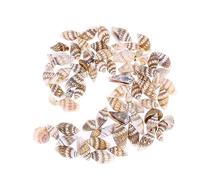 Healifty 500 pièces Décoration Naturelle Coquillages pour Maison Art et pour Aquariums et Projets