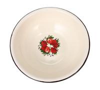 Healifty Bassine Fer Émaillé Épaisse Multifonction pour Lavage Légumes Vaisselle et Linge Récipient Stable Cuisine Polyvalent