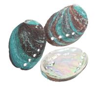 Healifty Bol en Coquille D'ormeau Maculée Naturelle 8-10 Cm en Lot De 3 - Matériau Coquillage Naturel - Bol De Purification à La Sauge pour Rituels Spirituels Et Décoration Intérieure