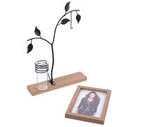 Healifty Cadre Photo de Pendaison de Crémaillère Hydroponique Lumière LED Forgé Cadre Photo Moderne et Créatif, Décoration de Table