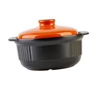 Healifty Casserole Résistante Haute Température Faitout à Riz et Mijoteuse avec Double Anse Cuisson Uniforme et Antiadhésive pour