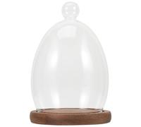 Healifty Cloche en Verre Transparente d'Œuf avec Base en Bois Vintage Couverture d'Exposition pour Fleurs Préservées Décoration de Table Compacte pour Saint-Valentin et Micro-Paysage