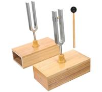 Healifty Instrument Expérimental Acoustique avec Diapason et Marteau Pédagogique pour Expérience Physique et Enseignement