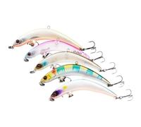 Healifty Lot de 5 Leurres Artificiels Coulants 4g, Hameçons Colorés Flottants, Appâts pour Pêche en Eau Douce et Salée, Adaptés pour Perches et Bars, Outil Créatif pour Couleur Aléatoire