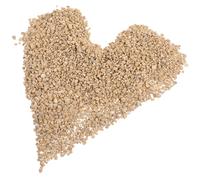 Healifty Pierres Décoratives Naturelles de Maïfanite 300g, Granulés pour Aquarium et Poterie, Roches Volcaniques pour Plantes Succulentes, Pack de 5 Sachets pour Décoration et Entretien