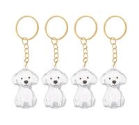 Healifty Porte-clés Commémoratif pour Poils de Chien en Abs Transparent, Boîte à Souvenirs Portable 4pcs, Accessoire pour Commémorer Le Départ d'un Ami à Quatre Pattes