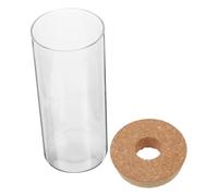 Healifty Terrarium Verre avec Couvercle Terrarium Vide pour Micro-Paysage Bouteille Décorative pour Plantes