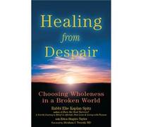 Healing from Despair by Rabbi Elie Kaplan Spitz & With Erica Shapiro Taylor & Foreword by Rabbi Abraham J Twerski M D Rabbi Elie Kaplan Spitz With Erica Shapiro Taylor Foreword by Rabbi Abraham J Twer