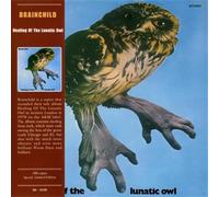Healing of the Lunatic Owl
