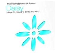 Healing Power Of Daisy