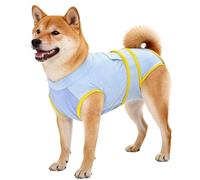 Healing Support Garment, Sensitive Skin Solution, 14.5 inches Lightweight with Stretchable Weave, Ergonomic Abdominal Support Shield, Reinforced Joint Patch with Snug Fit, Daily Cover for Female Male