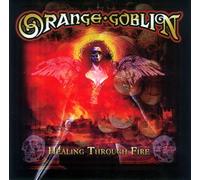 Healing Through Fire [CD +DVD] [Import]