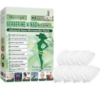 Healrize Moringa 10-In-1 Slimming Patches,Moringa 10-In-1 Advanced Nano Microneedle Patchs,Natural Nano Micro Needle Patch,for Men And Women (1 Box)