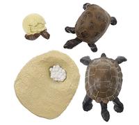 HEALSOPTHY 1 Ensemble Modèle de Cycle de Vie de Tortue Réaliste Éducatif Simulation pour Apprentissage pour Développer Imagination Cognition