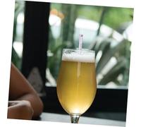 HEALSOPTHY 10 pièces Densimètre Verre pour Sirop Érable et Vin Mesure Précise Gravité Spécifique et Teneur Sucre pour Bière Vin Hydromètre et Léger