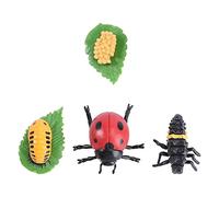HEALSOPTHY 1Ensemble Évolution des Insectes Simulation de Stades Animaux pour Éducation Éducatif pour Éveiller Curiosité