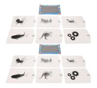 HEALSOPTHY 2 Ensembles Animation Scientifique Lenticulaire pour Garçon Fille Kit Éducatif Stem pour Expériences Optiques et Illusions Visuelles Montage Facile pour Apprentissage Maison et