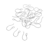 HEALSOPTHY 20 Pièces accessoires de boucle d'oreille crochets de fil d'oreille boucles d'oreilles crochet crochets de boucles d'oreilles pour bijoux crochet à bijoux Acier inoxydable