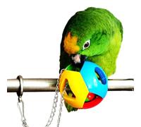 HEALSOPTHY Balle Oiseau en Plastique Creux Éducatif pour Développement des Compétences et Exercice 3pcs Couleur Aléatoire pour Perroquets des Petits Oiseaux en Aventure