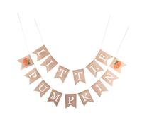 HEALSOPTHY Bannière de Thanksgiving en Lin Guirlande de Petites Citrouilles Décoratives 1 Ensemble pour Décoration Intérieure et Extérieure Suspendue pour Cheminée Ambiance Festive