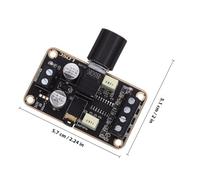 HEALSOPTHY Carte Amplificateur Audio Numérique Double Canal Stéréo Module DC Compact pour Haut-parleurs Domestiques et DIY Protection Intégrée