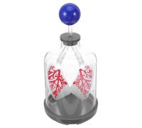 HEALSOPTHY Diaphragme Assemblage Facile en Plastique Modèle Pulmonaire Réaliste pour Démonstration D'expansion Pulmonaire pour Kit Scientifique en Classe