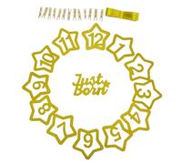 HEALSOPTHY Guirlande Photo 1er Anniversaire Bébé 12 Pinces Étoiles Paillettes, Décoration Anniversaire Garçon et Filles D’un An, Bannière Photo Mensuelle pour Mur, Fenêtre ou Porte, Couleurs