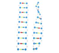 HEALSOPTHY Kit Pédagogique Scientifique Adn Double Hélice, 2 Modèles Moléculaires Éducatifs, Kit de Modélisation Moléculaire pour Étudiants, Outil D’Apprentissage en Biologie, Structure Adn