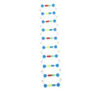 HEALSOPTHY Modèle Double Éducatif Instrument Scientifique Pédagogique pour Étudiants Outil Dobservation et Analyse