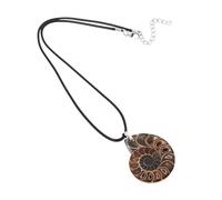 HEALSOPTHY Pendentif Ammonite Naturelle Spirale Collier Fossile Bijoux Boho Uniques Pour Style Éclectique