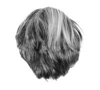 HEALSOPTHY Perruque Grise Courte Costume Cosplay Réaliste Accessoire de Déguisement Halloween et Fête Perruque Facile Entretien pour Hommes et Femmes