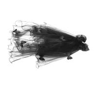 HEALSOPTHY Voile de Mariée Halloween Noir avec Pince à Cheveux Accessoire Coiffure Gothique pour Enterrement de Vie de Jeune Fille Costume Vampire et Soirée Cosplay